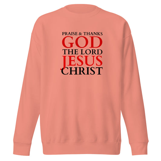 Christian sweatshirt with faith-based design featuring text 'Praise & Thanks God the Lord Jesus Christ' on a pink background.