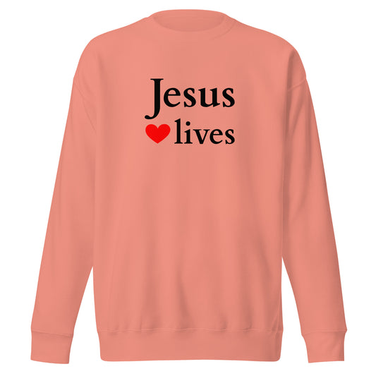 Christian sweatshirt designs - Jesus loves lives in a stylish pink sweatshirt, perfect for everyday wear.